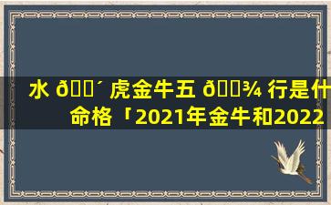水 🌴 虎金牛五 🌾 行是什么命格「2021年金牛和2022年水虎哪个更好」